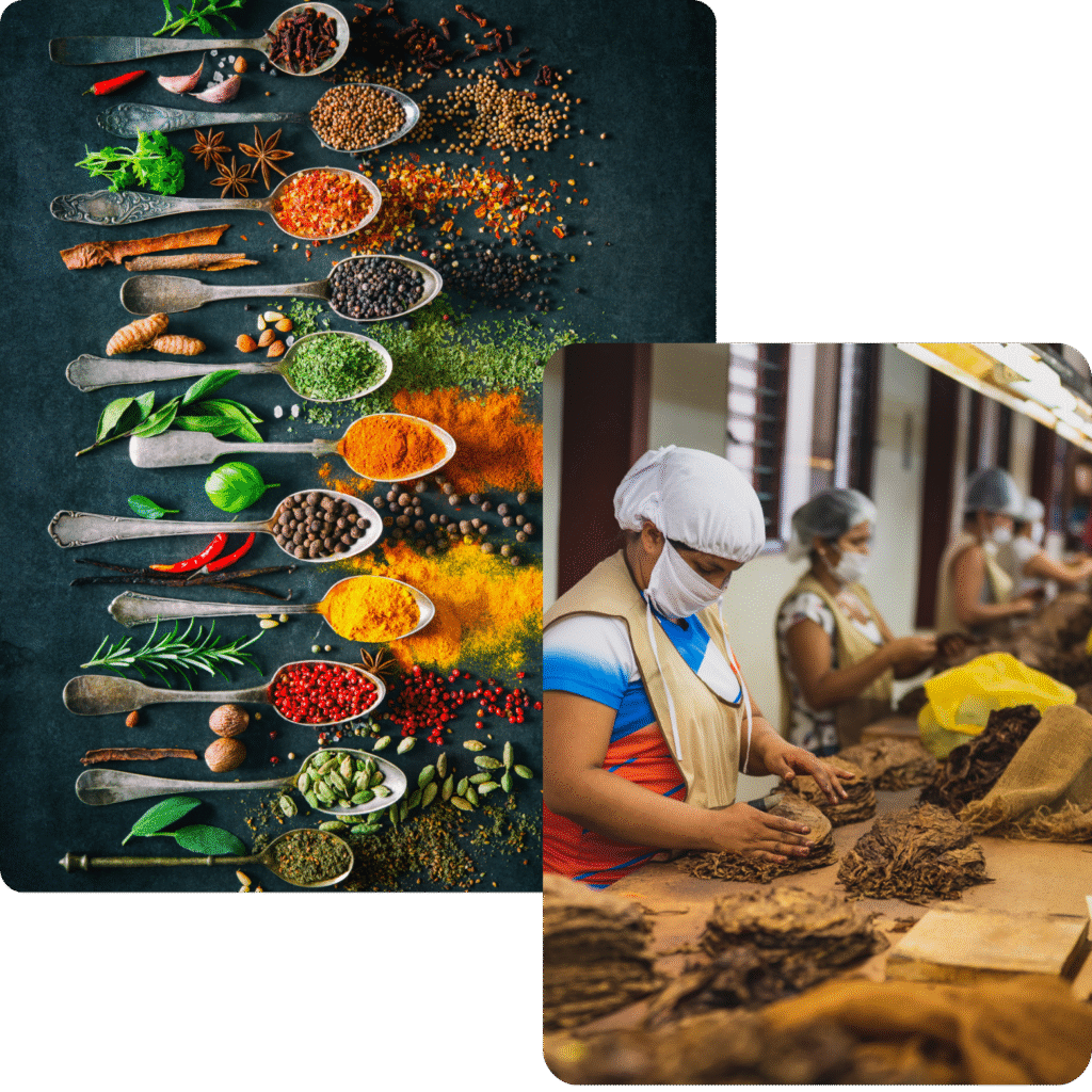 Navy Simple Bed Business Logo (1)