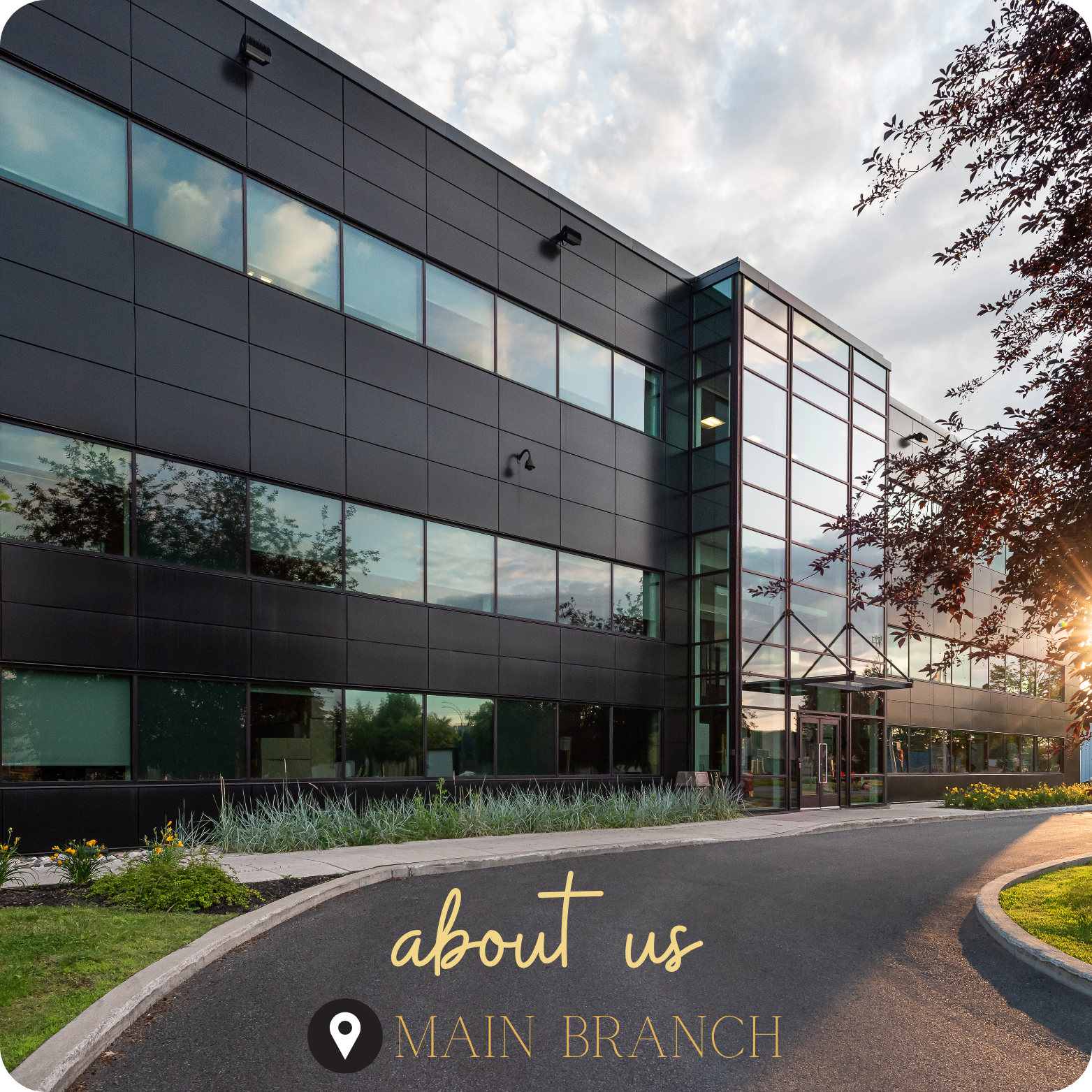 Navy Simple Bed Business Logo (3)