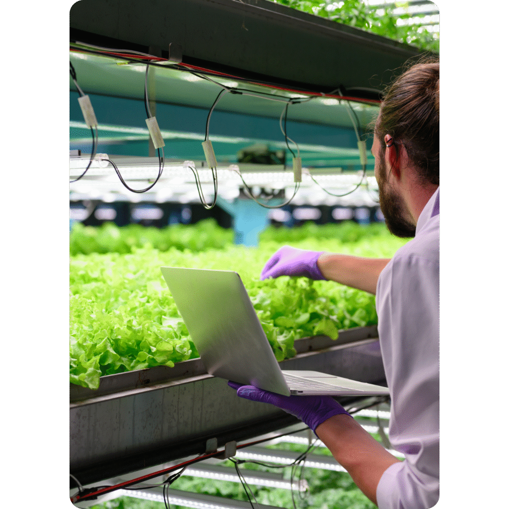 Navy Simple Bed Business Logo (4)